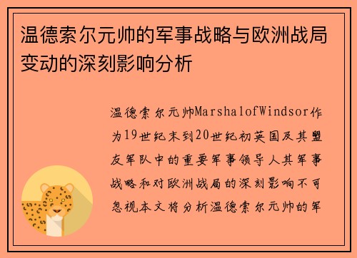 温德索尔元帅的军事战略与欧洲战局变动的深刻影响分析